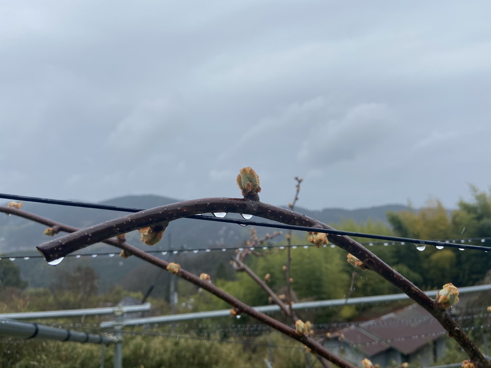 Blog-post Thumbnail