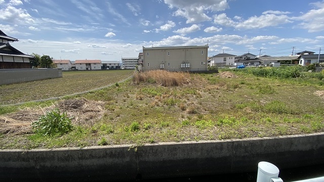Gallery hamano