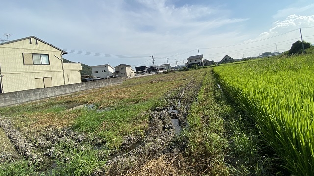 Gallery kawairi