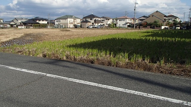 Gallery urayasu